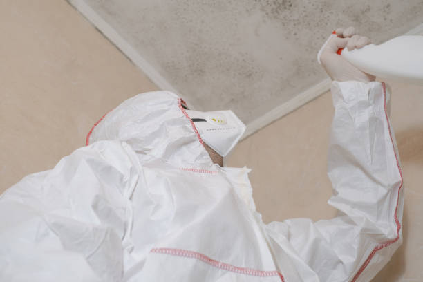 Best Residential Mold Removal  in Lynwood, IL