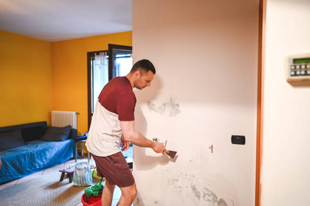 Reliable Lynwood, IL Mold Removal Solutions